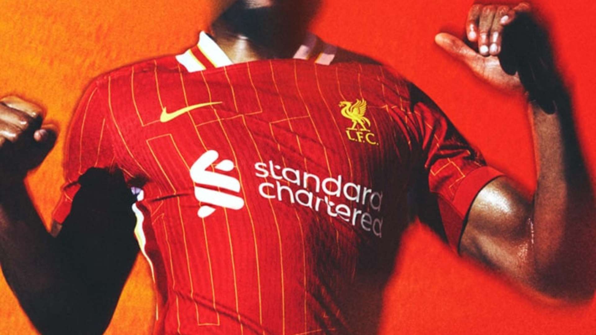 能会让部分 能会让部分